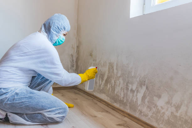 Mold Remediation specialist working in Gig Harbor