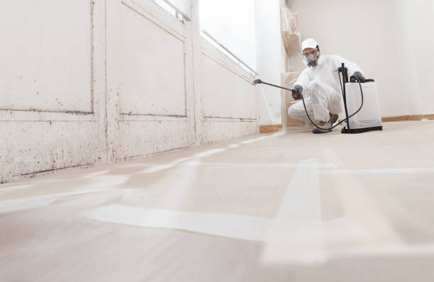 Post-remediation clearance in Gig Harbor