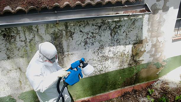 Clearance testing in Gig Harbor